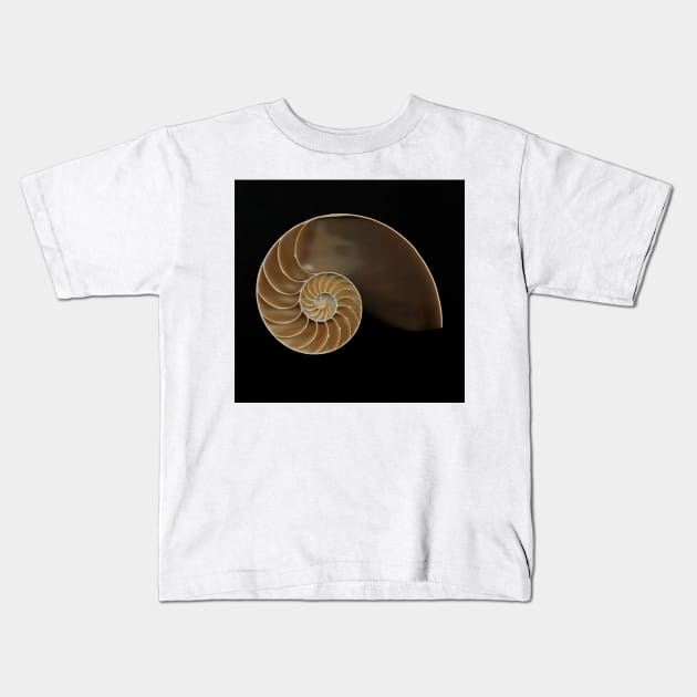 Chambered nautilus shell bisected Kids T-Shirt by joesaladino